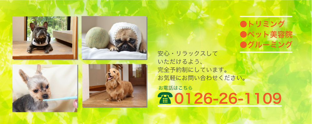 ペットサロンリーフ