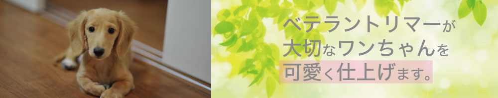 ペットサロンリーフ