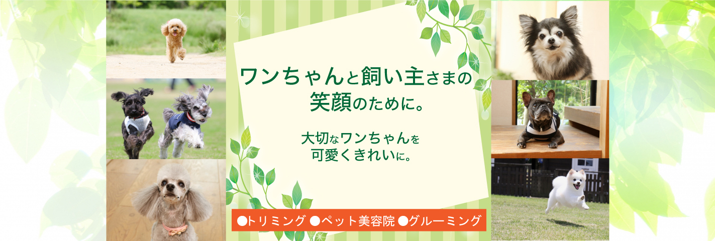 ワンちゃんと飼い主さまの笑顔のために。大切なワンちゃんを可愛くきれいに。
